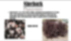 ninebark3